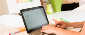 Reiss Profile – Online-Fragebogen